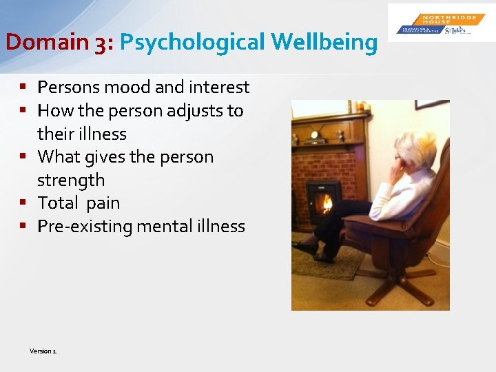 Domain 3: Psychological Wellbeing § Persons mood and interest § How the person adjusts