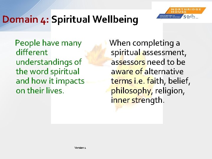 Domain 4: Spiritual Wellbeing People have many different understandings of the word spiritual and