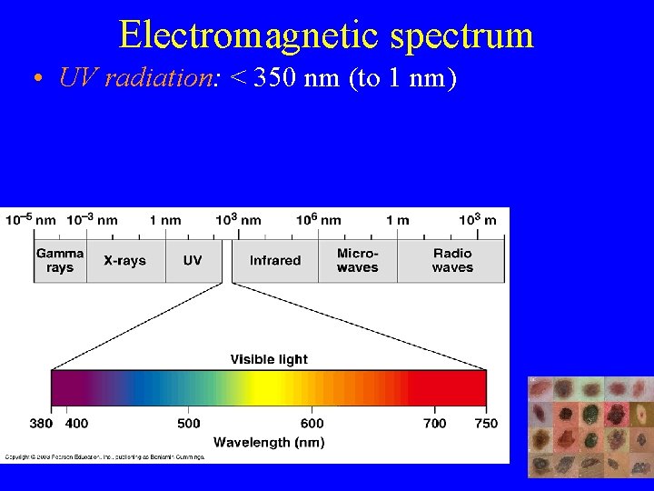 Electromagnetic spectrum • UV radiation: < 350 nm (to 1 nm) 