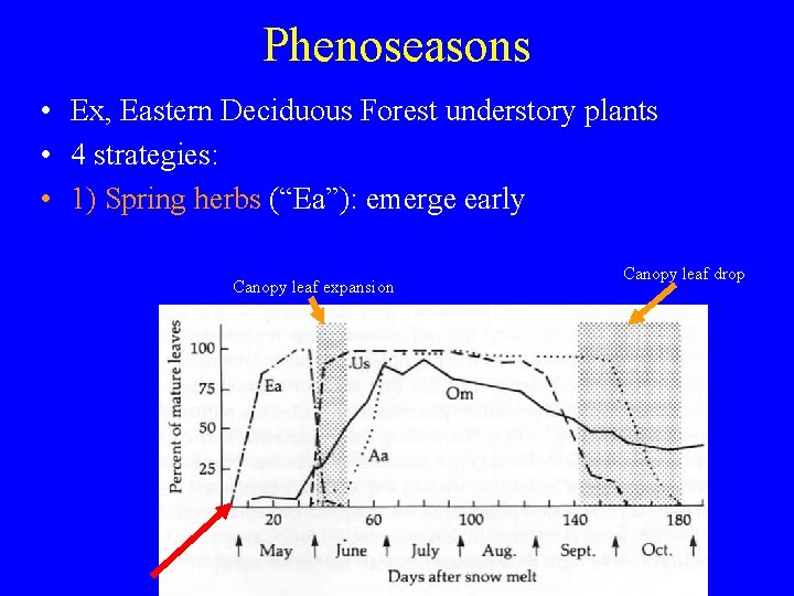 Phenoseasons • Ex, Eastern Deciduous Forest understory plants • 4 strategies: • 1) Spring