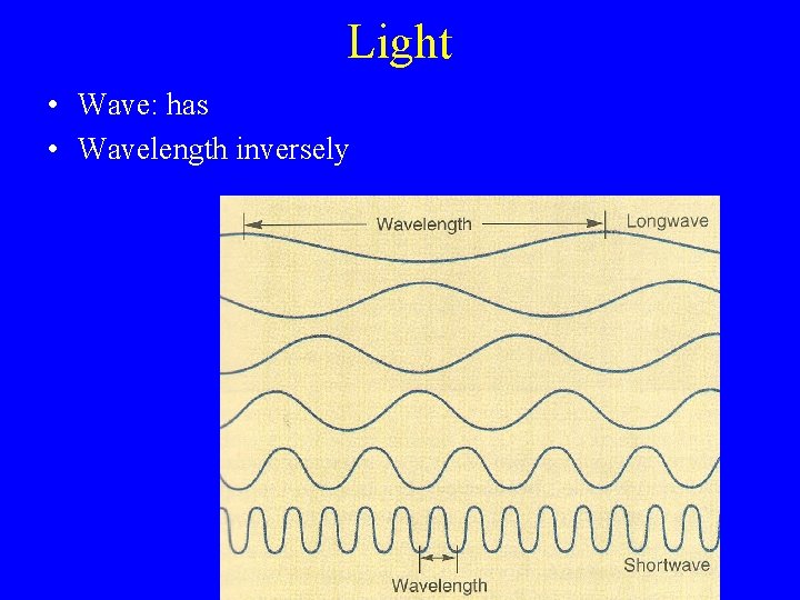 Light • Wave: has • Wavelength inversely 