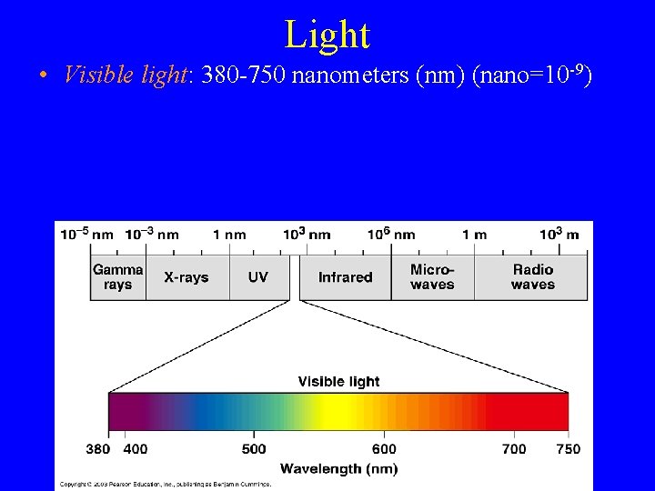 Light • Visible light: 380 -750 nanometers (nm) (nano=10 -9) 