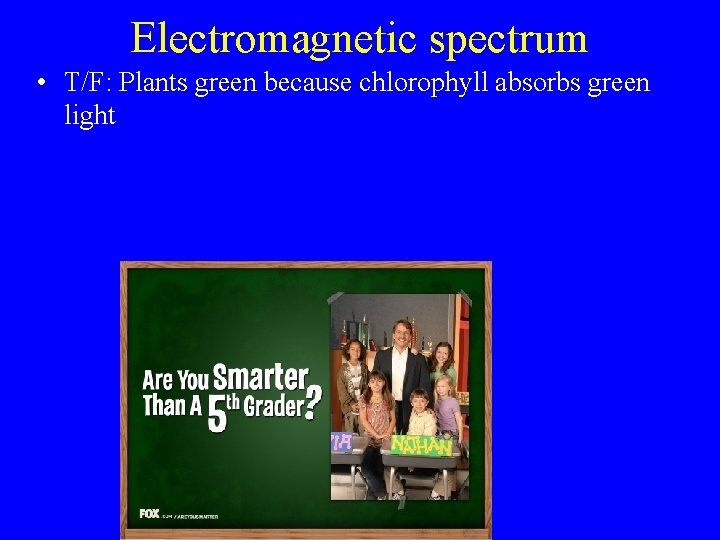 Electromagnetic spectrum • T/F: Plants green because chlorophyll absorbs green light 