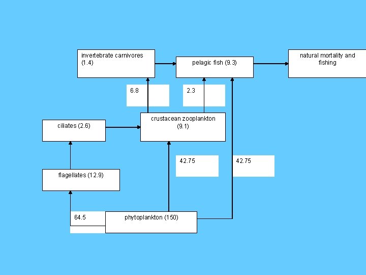 invertebrate carnivores (1. 4) pelagic fish (9. 3) 6. 8 ciliates (2. 6) 2.