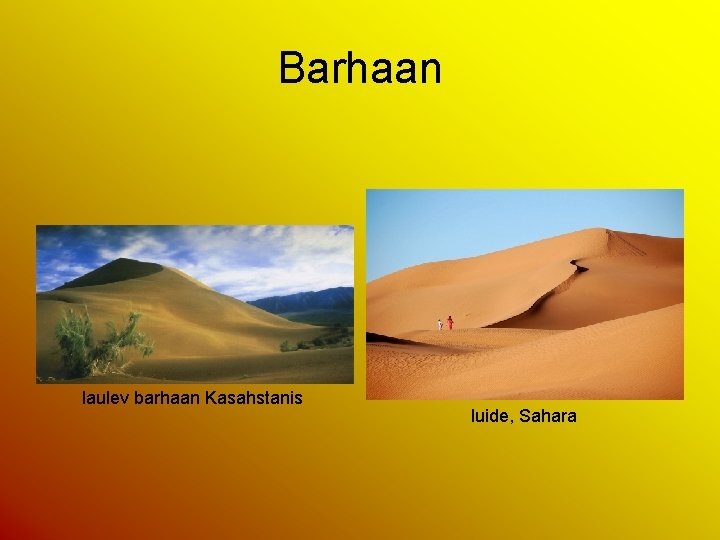 Barhaan laulev barhaan Kasahstanis luide, Sahara 