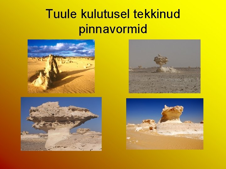 Tuule kulutusel tekkinud pinnavormid 