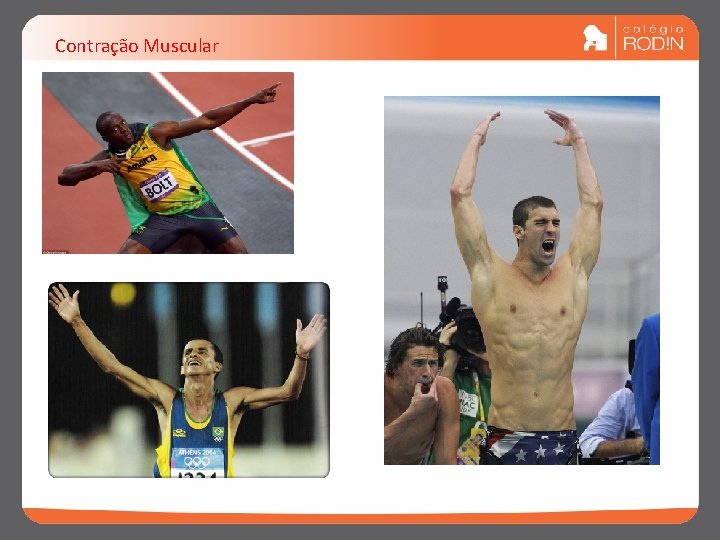 Contração Muscular 10 