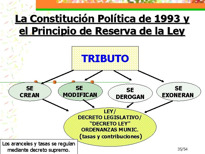 La Constitución Política de 1993 y el Principio de Reserva de la Ley TRIBUTO