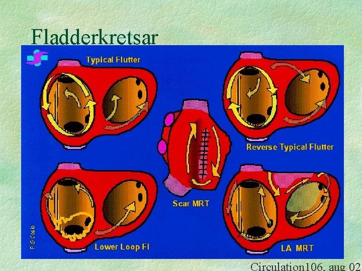 Fladderkretsar 