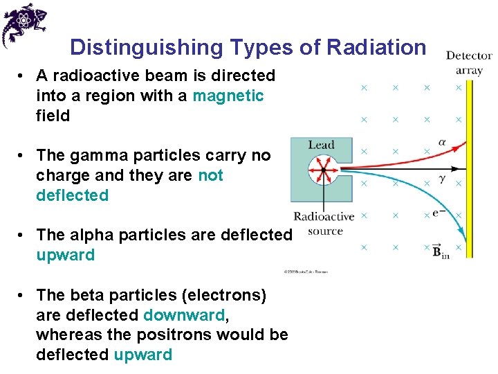 Distinguishing Types of Radiation • A radioactive beam is directed into a region with Distinguishing Types of Radiation • A radioactive beam is directed into a region with