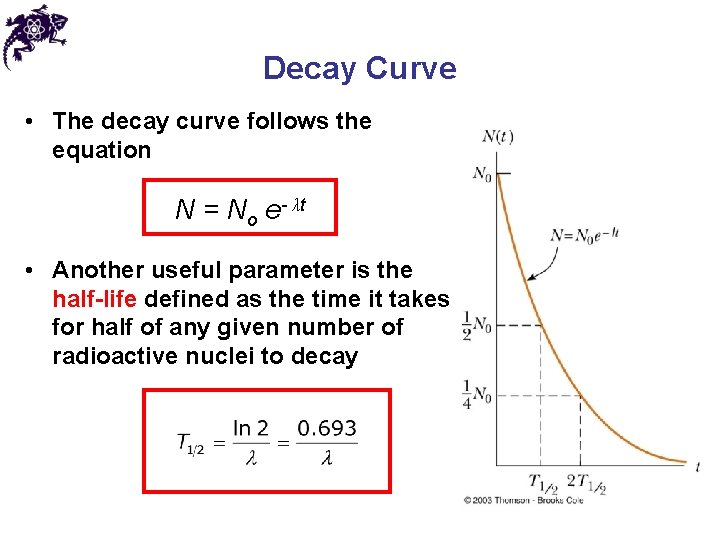 Decay Curve • The decay curve follows the equation N = No e- λt