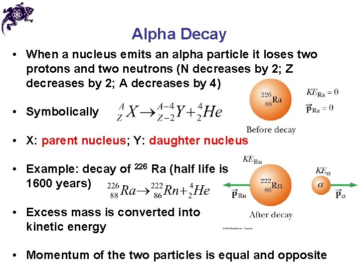 Alpha Decay • When a nucleus emits an alpha particle it loses two protons