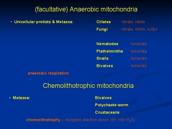 (facultative) Anaerobic mitochondria • Unicellular protists & Metazoa: Ciliates nitrate, nitrite Fungi nitrate, nitrite,
