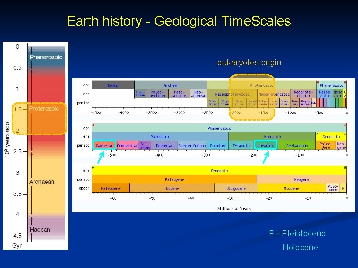 Earth history - Geological Time. Scales eukaryotes origin P - Pleistocene Holocene 