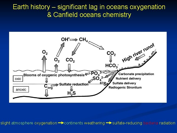 Earth history – significant lag in oceans oxygenation & Canfield oceans chemistry slight atmosphere