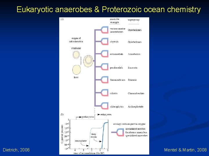 Eukaryotic anaerobes & Proterozoic ocean chemistry Dietrich, 2006 Mentel & Martin, 2008 