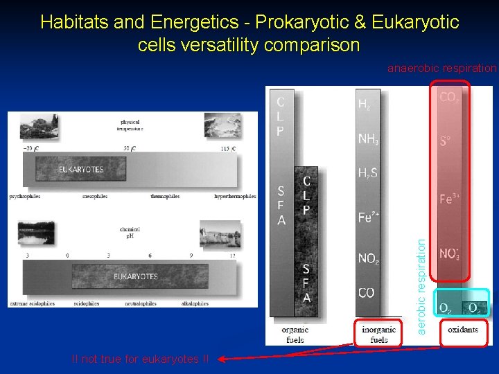 Habitats and Energetics - Prokaryotic & Eukaryotic cells versatility comparison aerobic respiration anaerobic respiration