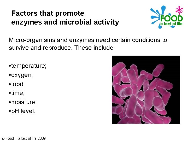 Factors that promote enzymes and microbial activity Micro-organisms and enzymes need certain conditions to