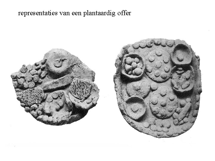 representaties van een plantaardig offer 