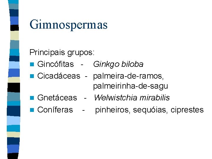 Gimnospermas Principais grupos: n Gincófitas - Ginkgo biloba n Cicadáceas - palmeira-de-ramos, palmeirinha-de-sagu n