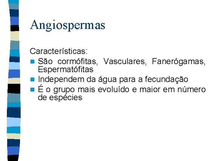 Angiospermas Características: n São cormófitas, Vasculares, Fanerógamas, Espermatófitas n Independem da água para a
