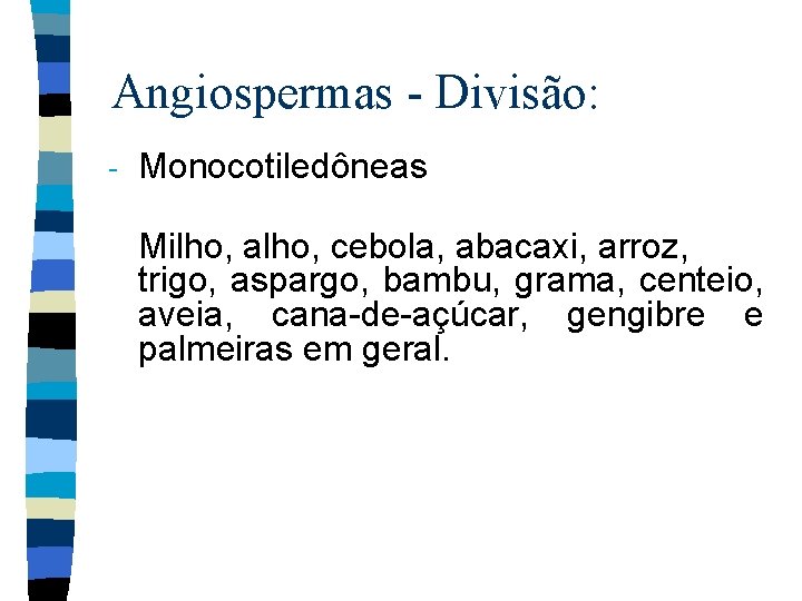 Angiospermas - Divisão: - Monocotiledôneas Milho, alho, cebola, abacaxi, arroz, trigo, aspargo, bambu, grama,