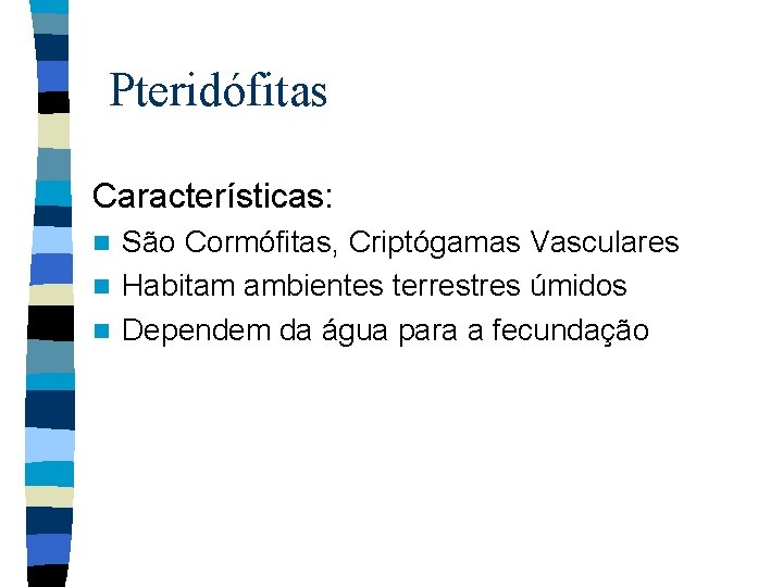 Pteridófitas Características: São Cormófitas, Criptógamas Vasculares n Habitam ambientes terrestres úmidos n Dependem da