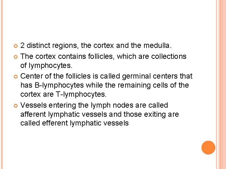 2 distinct regions, the cortex and the medulla. The cortex contains follicles, which are