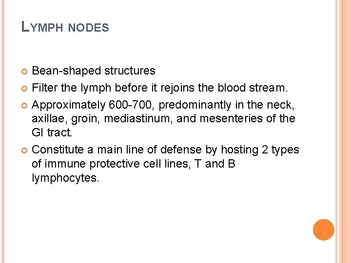 LYMPH NODES Bean-shaped structures Filter the lymph before it rejoins the blood stream. Approximately