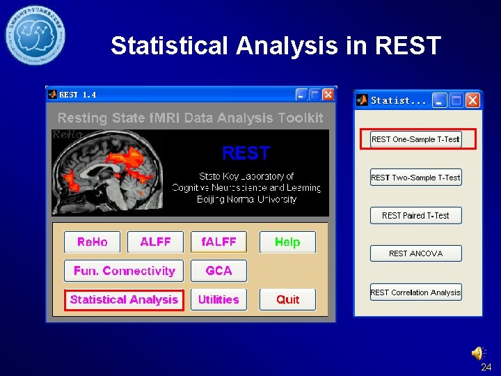 Statistical Analysis in REST 24 