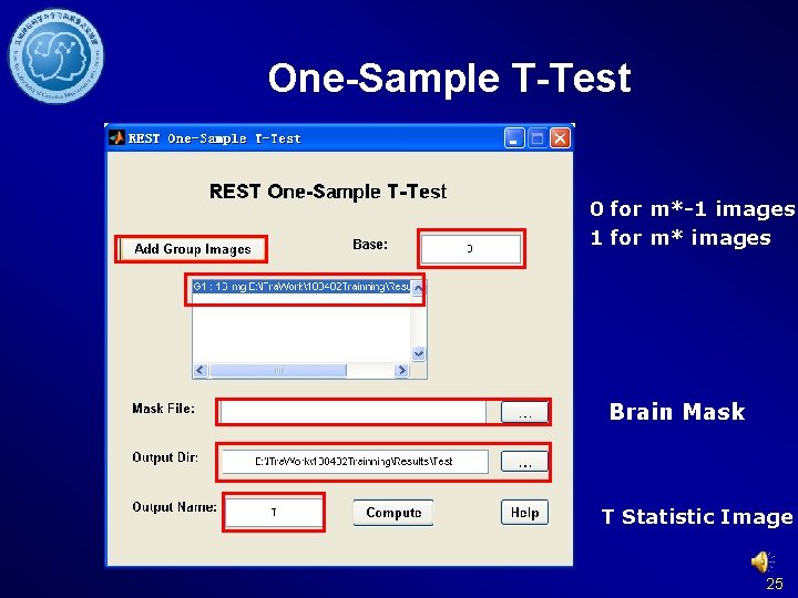 One-Sample T-Test 0 for m*-1 images 1 for m* images Brain Mask T Statistic