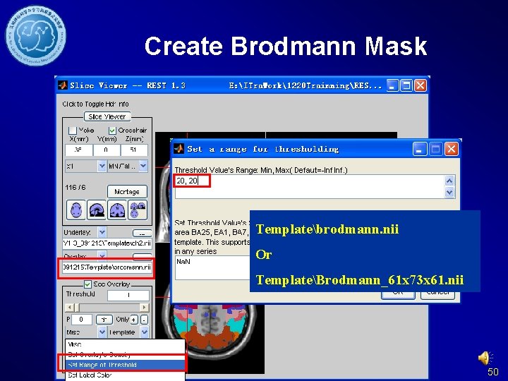 Create Brodmann Mask Templatebrodmann. nii Or TemplateBrodmann_61 x 73 x 61. nii 50 
