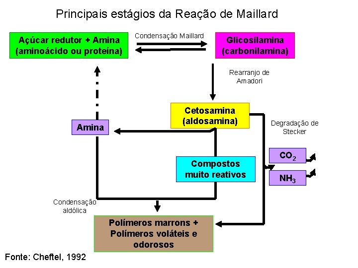 Principais estágios da Reação de Maillard Açúcar redutor + Amina (aminoácido ou proteína) Condensação