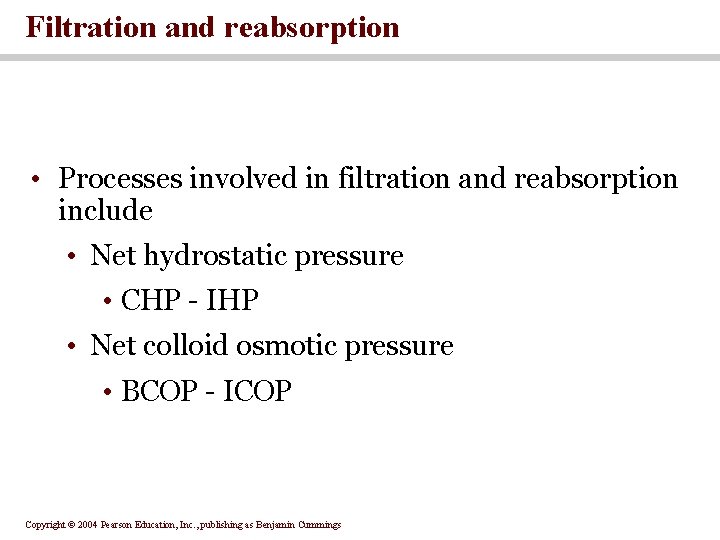 Filtration and reabsorption • Processes involved in filtration and reabsorption include • Net hydrostatic