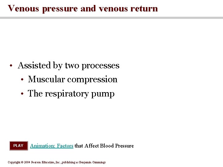 Venous pressure and venous return • Assisted by two processes • Muscular compression •