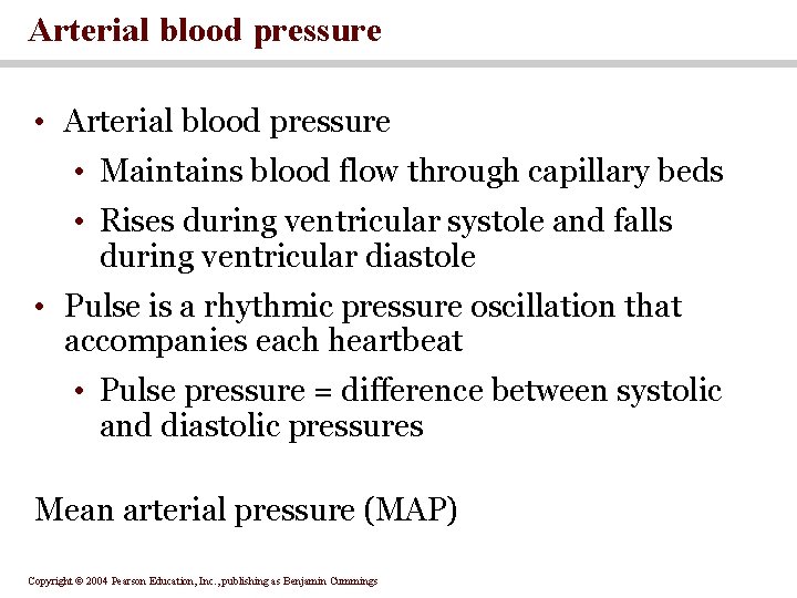 Arterial blood pressure • Maintains blood flow through capillary beds • Rises during ventricular