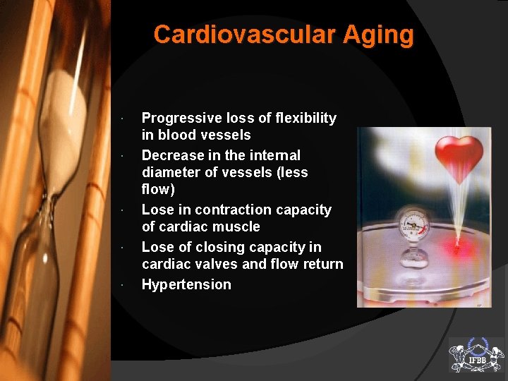 Cardiovascular Aging Progressive loss of flexibility in blood vessels Decrease in the internal diameter