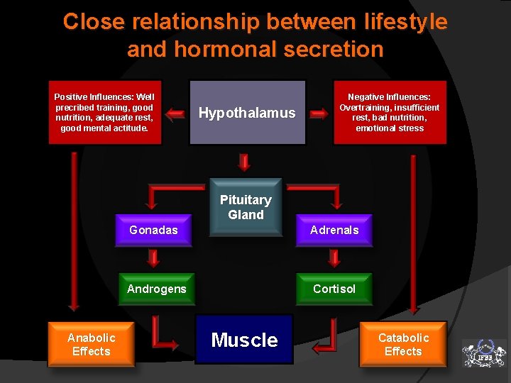 Close relationship between lifestyle and hormonal secretion Positive Influences: Well precribed training, good nutrition,