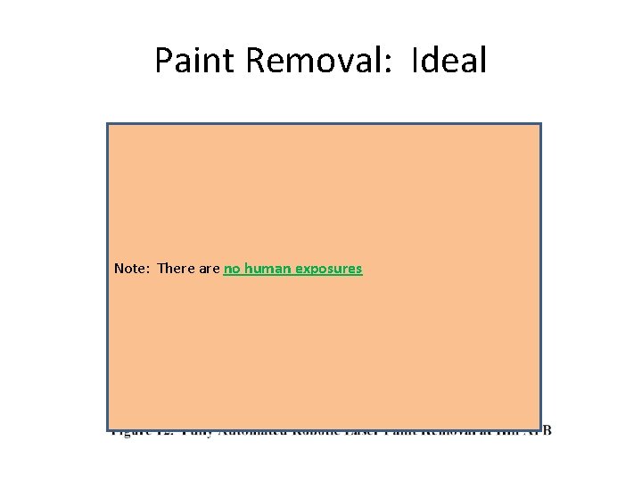 Paint Removal: Ideal Note: There are no human exposures 