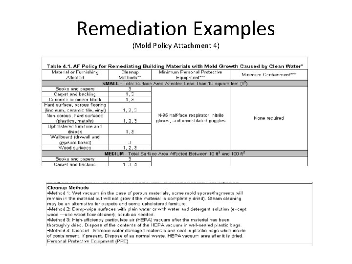 Remediation Examples (Mold Policy Attachment 4) 