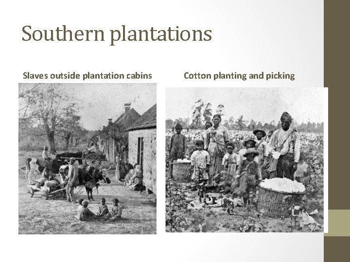 Southern plantations Slaves outside plantation cabins Cotton planting and picking 