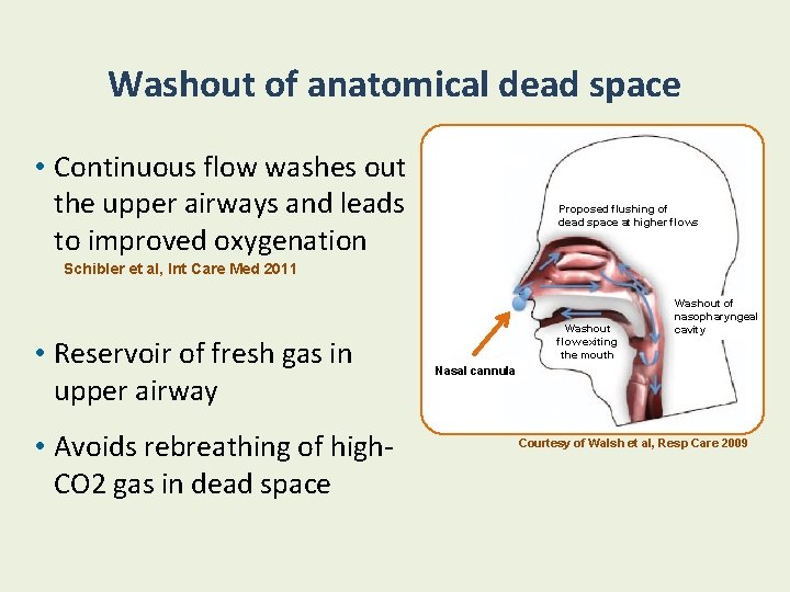 Washout of anatomical dead space • Continuous flow washes out the upper airways and