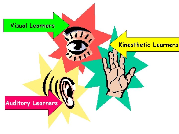 Visual Learners Kinesthetic Learners Auditory Learners 