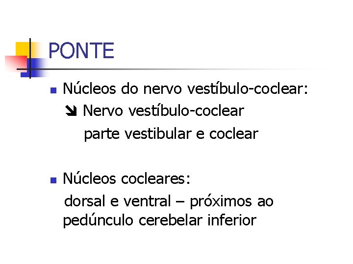 PONTE n n Núcleos do nervo vestíbulo-coclear: Nervo vestíbulo-coclear parte vestibular e coclear Núcleos