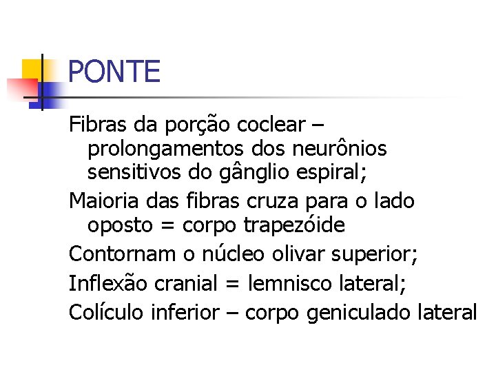 PONTE Fibras da porção coclear – prolongamentos dos neurônios sensitivos do gânglio espiral; Maioria