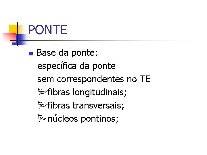 PONTE n Base da ponte: específica da ponte sem correspondentes no TE fibras longitudinais;