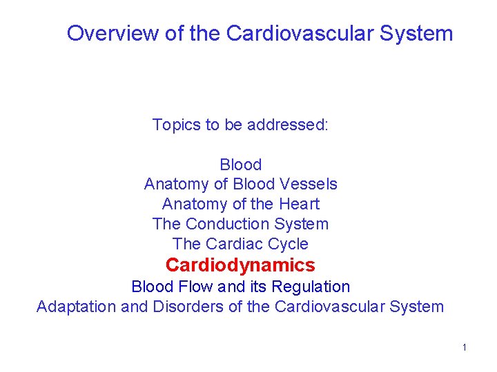 Overview of the Cardiovascular System Topics to be addressed: Blood Anatomy of Blood Vessels