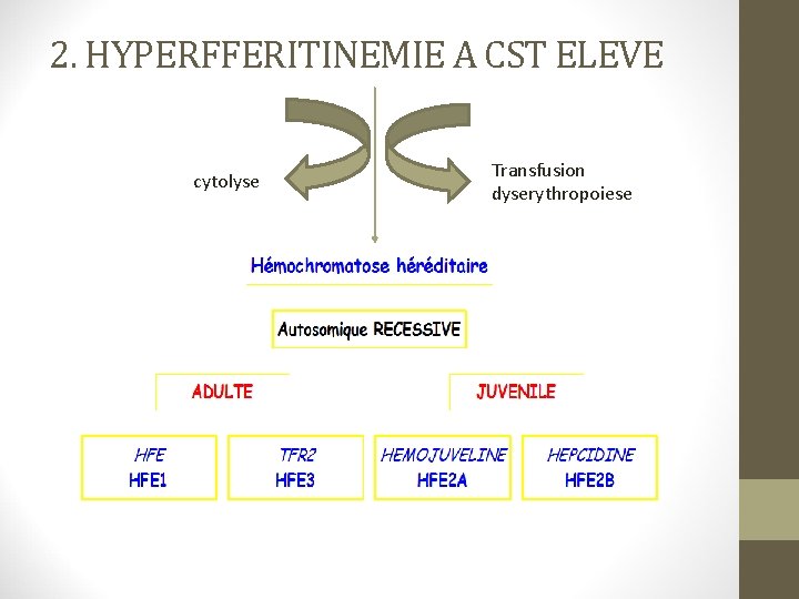 2. HYPERFFERITINEMIE A CST ELEVE cytolyse Transfusion dyserythropoiese 