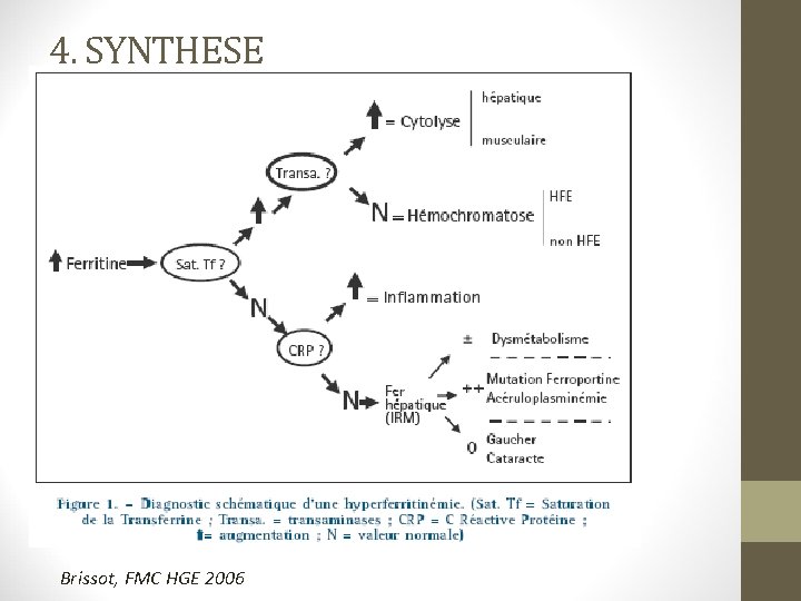 4. SYNTHESE Brissot, FMC HGE 2006 