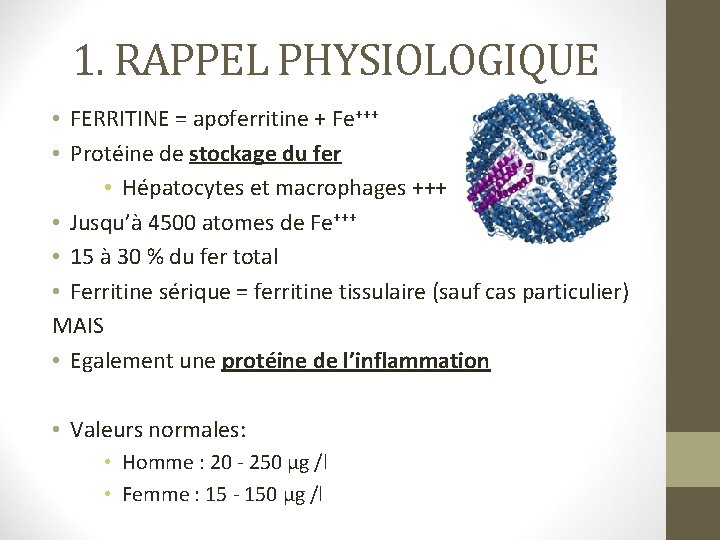 1. RAPPEL PHYSIOLOGIQUE • FERRITINE = apoferritine + Fe+++ • Protéine de stockage du